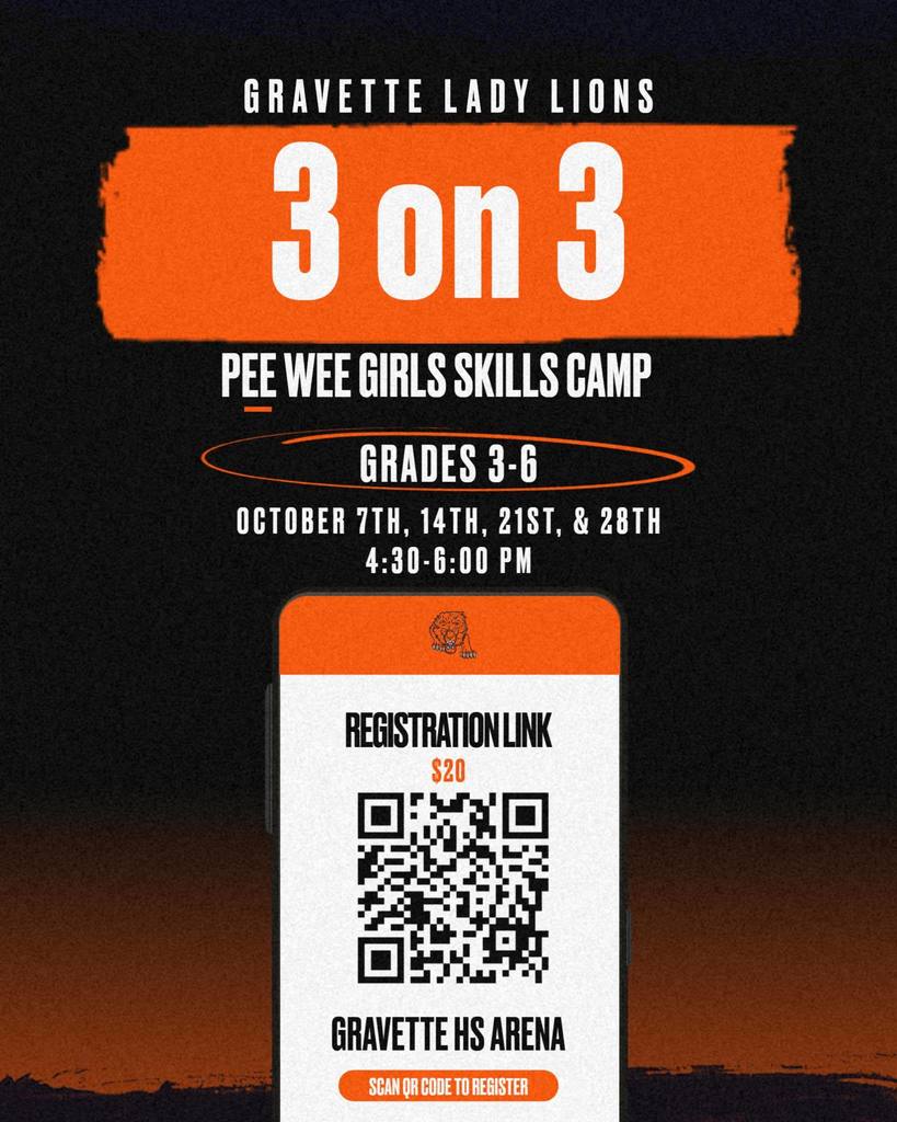 Lady Lions 3 on 3 Skills Camp Flyer