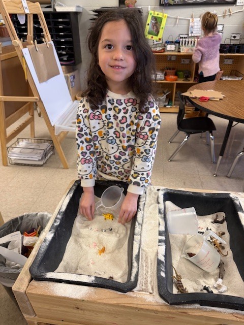 Pre-K Pets Project