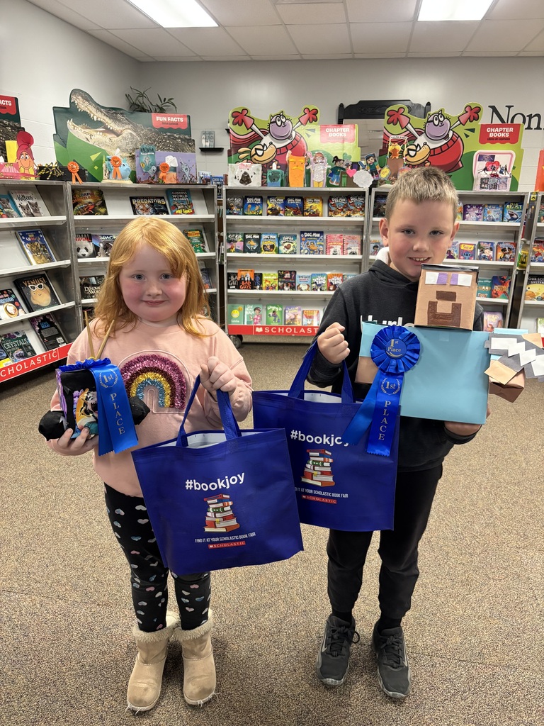 Book Fair Tissue Box Contest