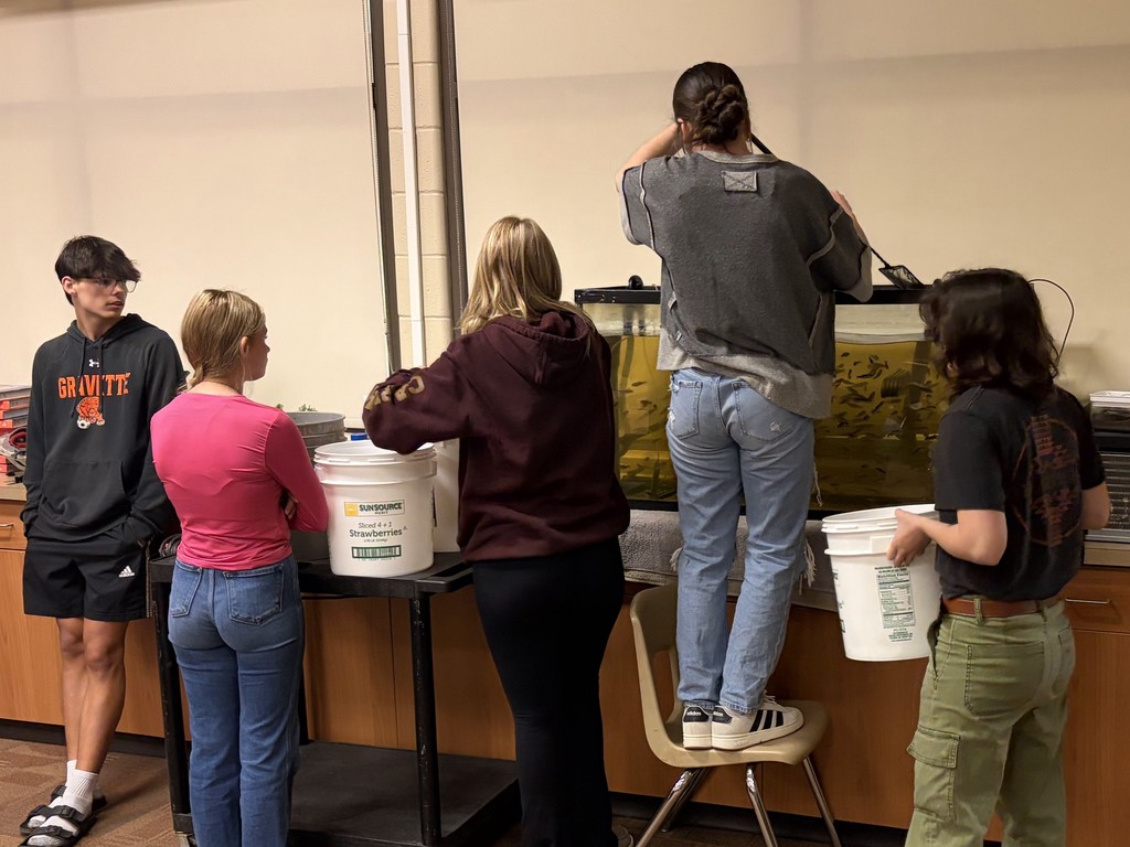 Trout Release Project