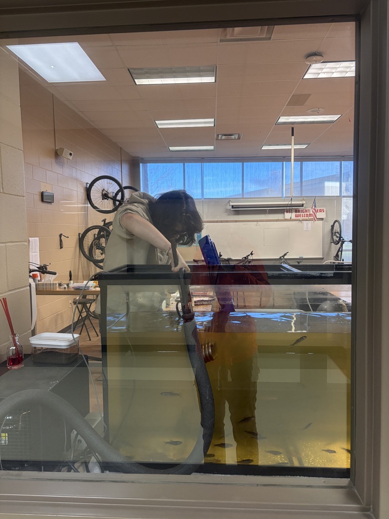 Trout Release Project