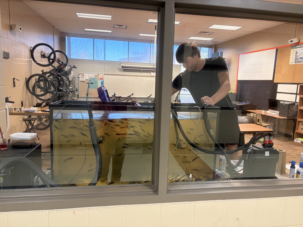 Trout Release Project