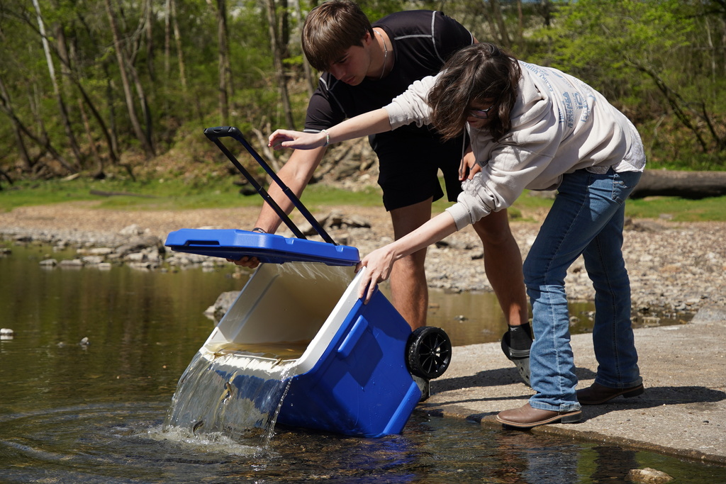 Trout Release Project