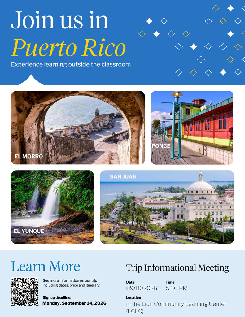 Puerto Rico Flyer