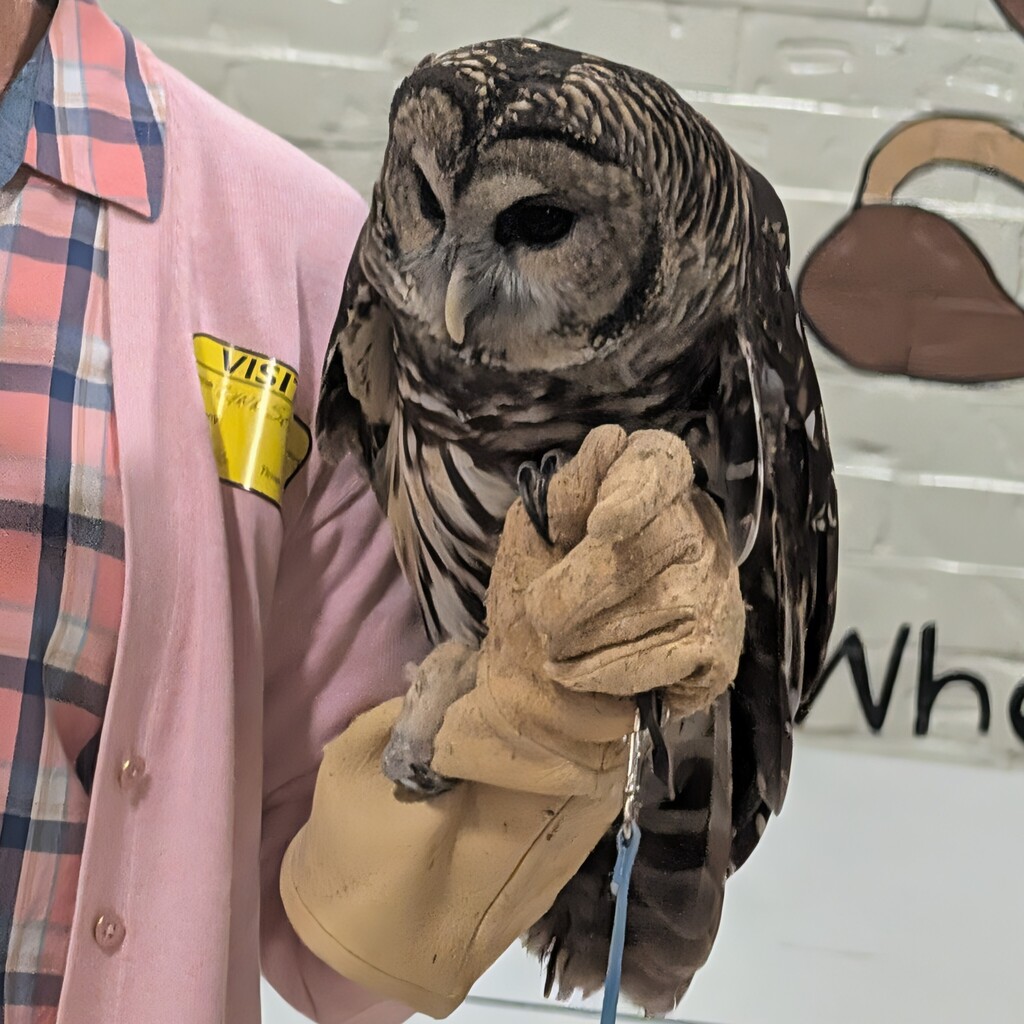 Lynn Sciumbato from Morning Star Wildlife Rehabilitation Center