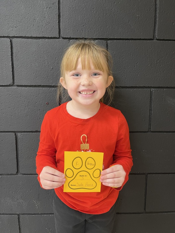 Golden Paw Award Winners