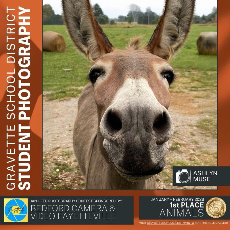 1st Place Photography Contest