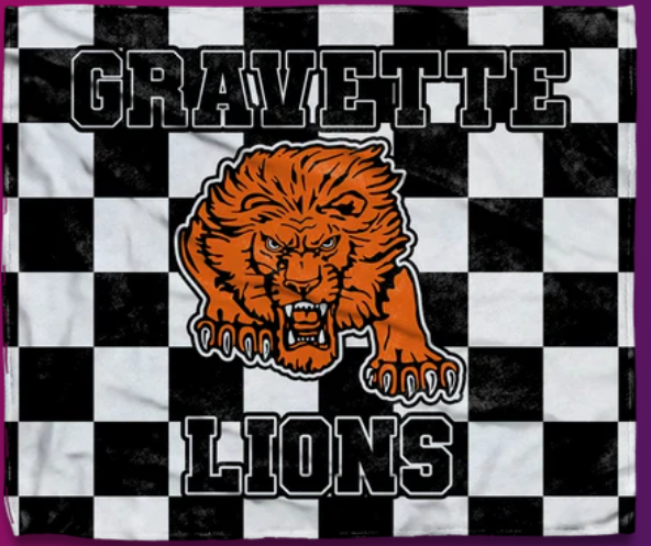 Lions blanket