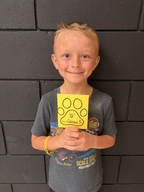 Golden Paw Awards