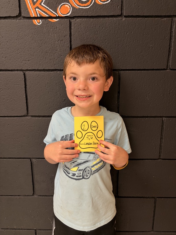 Golden Paw Award Winners