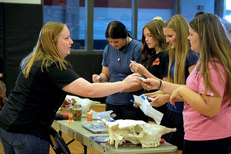 Students explored veterinary medicine through hands-on materials and learned how animal care professionals diagnose, treat, and support the health of animals.