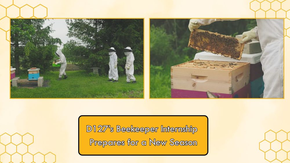 honeycombs with students in beesuits and bee hives