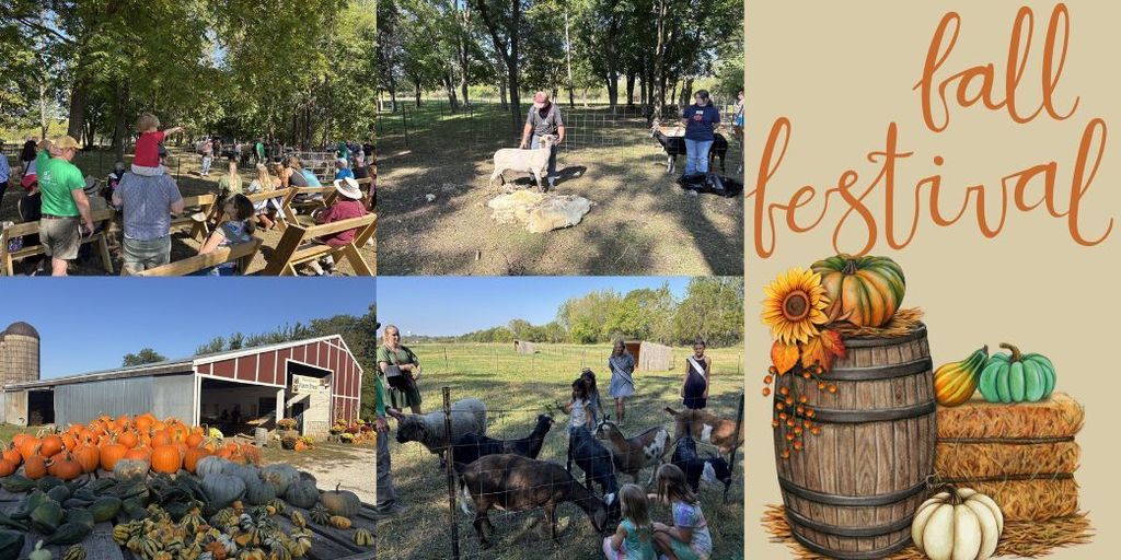 farm, goats, pumpkins and students working on the farm.