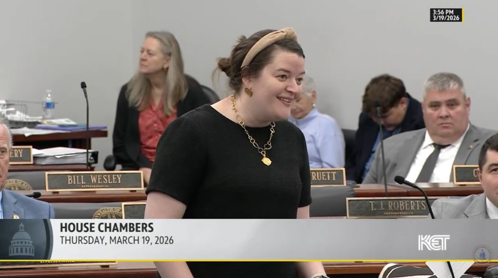 Samara Heavrin speaking in KY House of Representatives