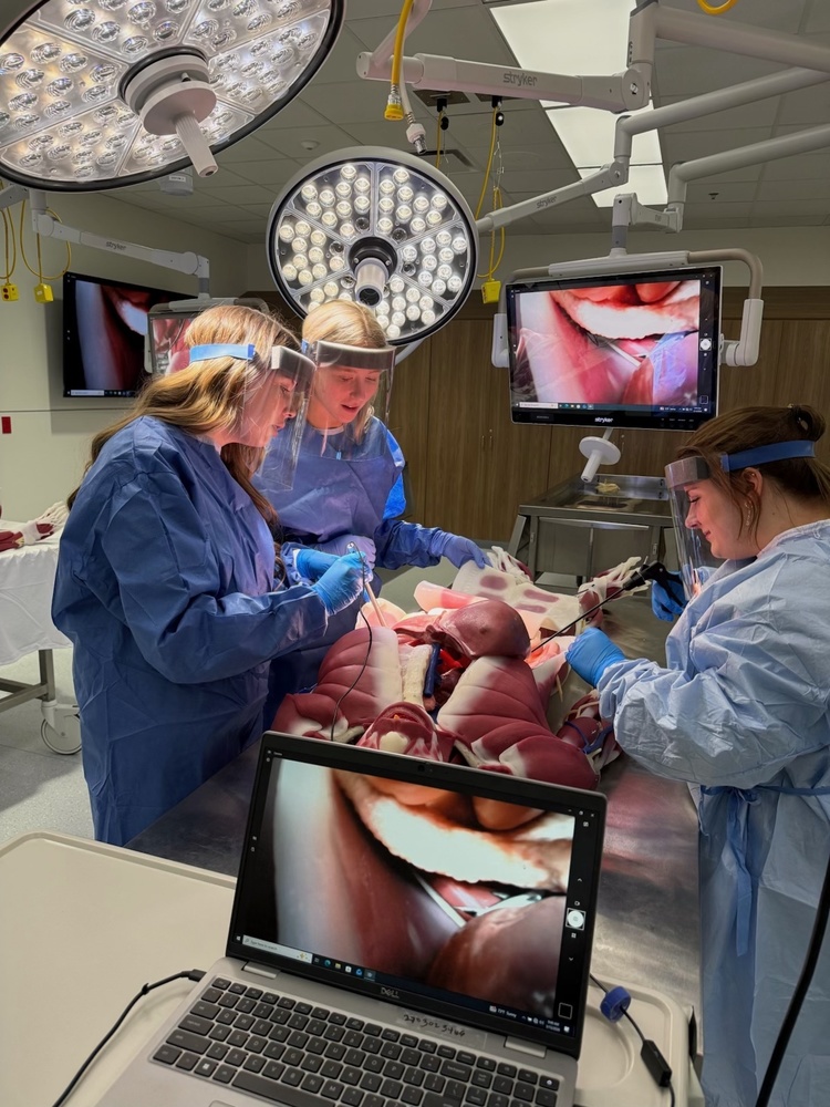 GCHS Health students at a surgical simulator