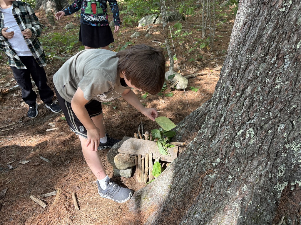 Working on Lost Civilization Project in the GSB woods