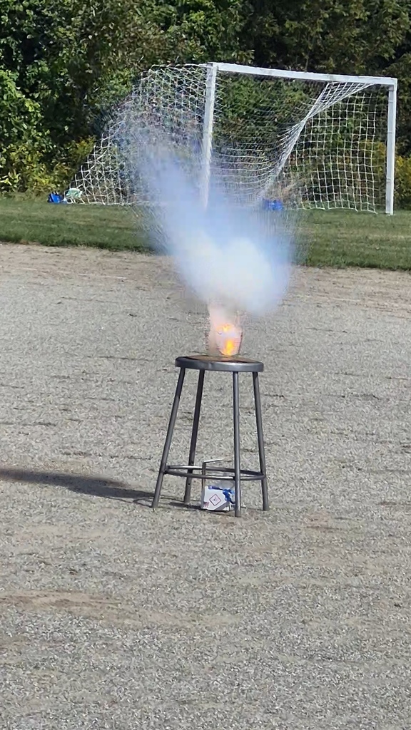 8th graders studied what happens when sodium metal is placed in water.