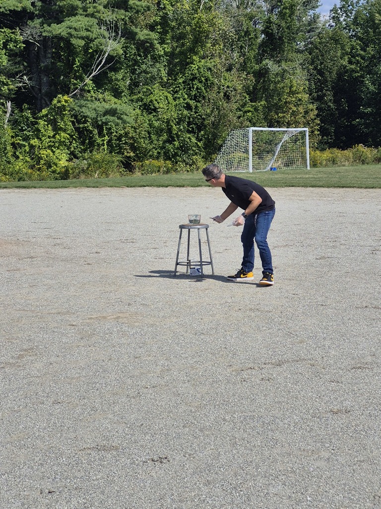 8th graders studied what happens when sodium metal is placed in water.