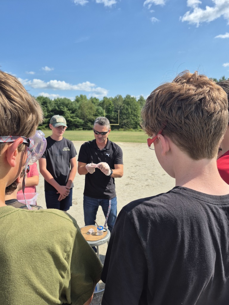 8th graders studied what happens when sodium metal is placed in water.