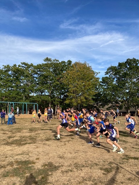 A great meet for the Cougars! 
