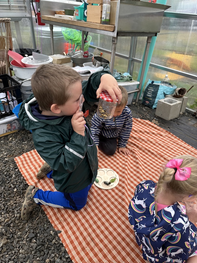 Kindergarten is learning about life cycles with Ms. Hedda in the greenhouse. 