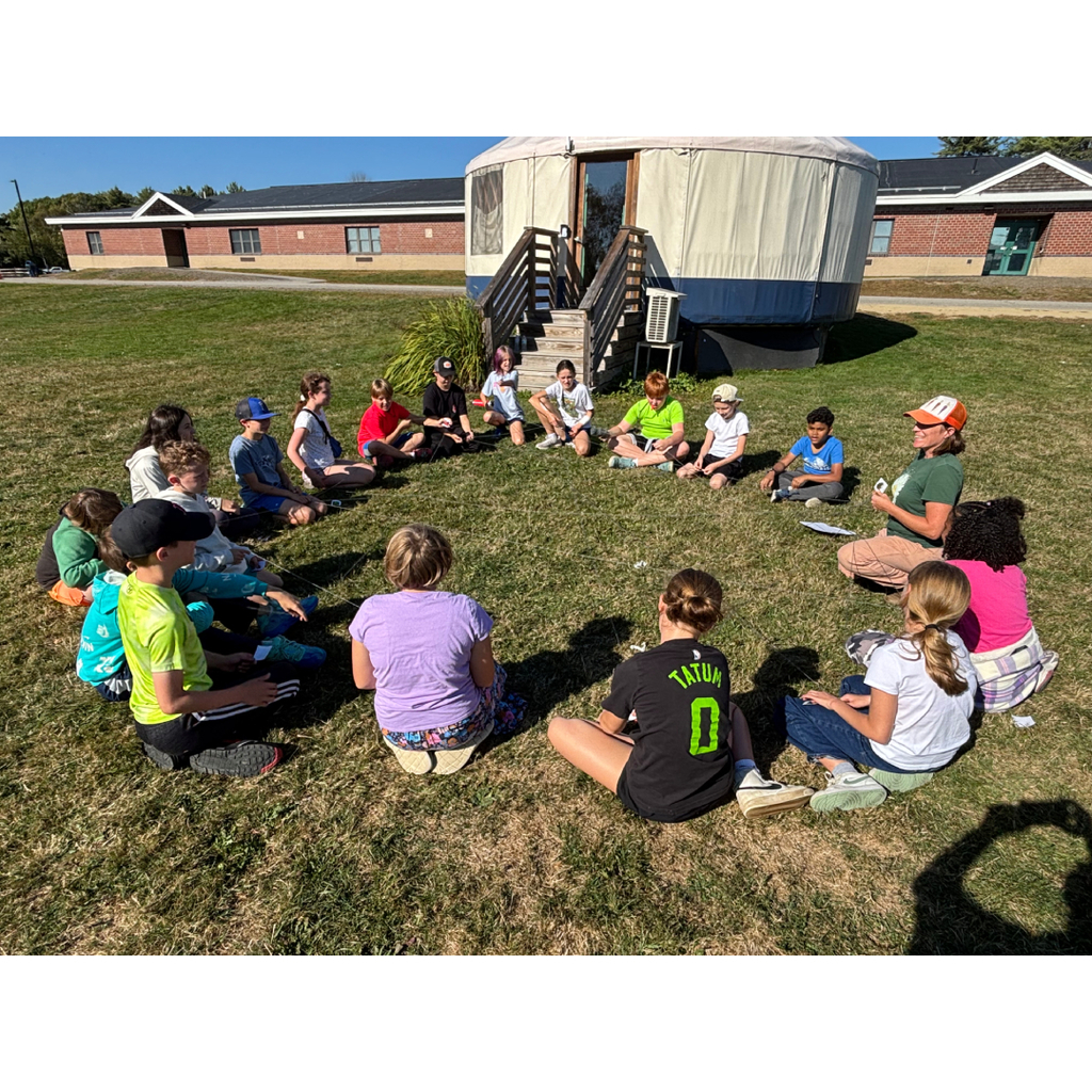 food web with organism cards and yarn