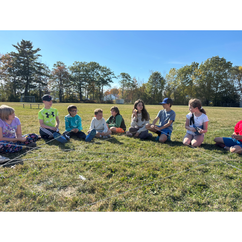 food web with organism cards and yarn