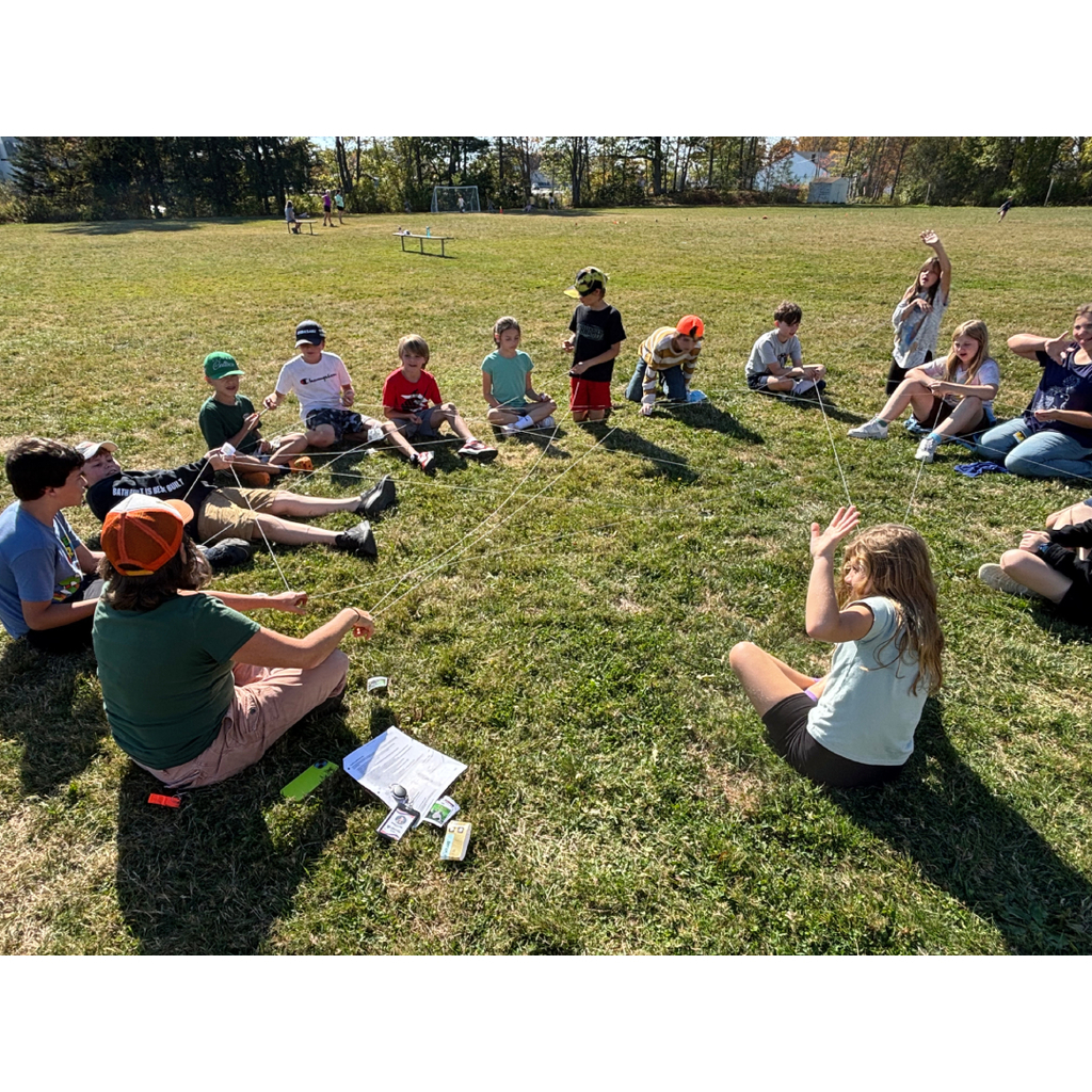 food web with organism cards and yarn