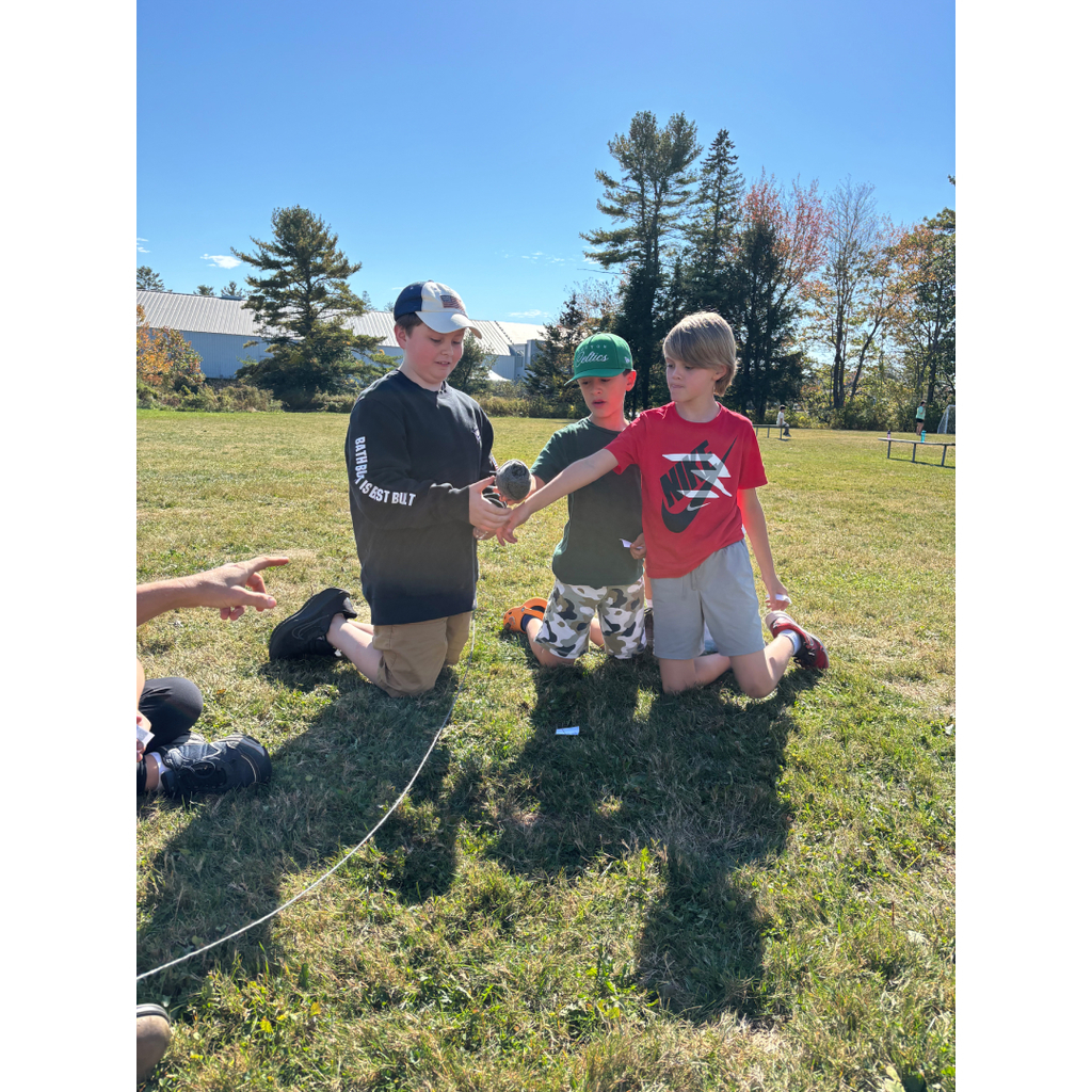 food web with organism cards and yarn
