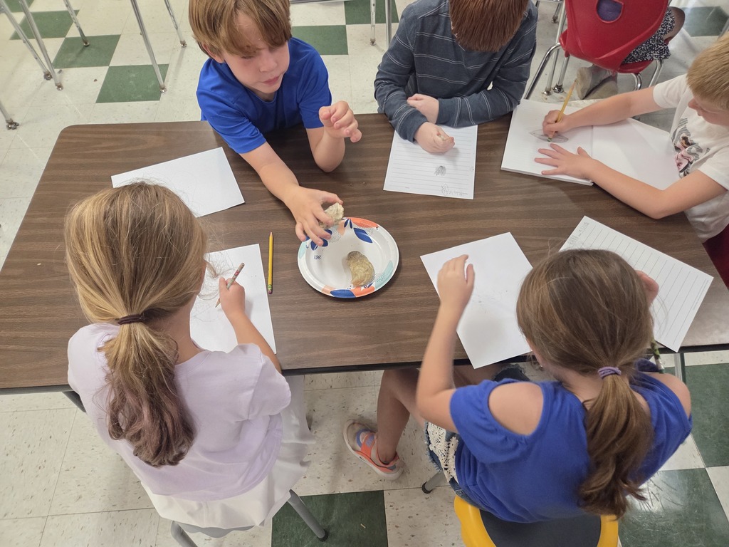 Third graders have begun learning about the importance of oysters to our community