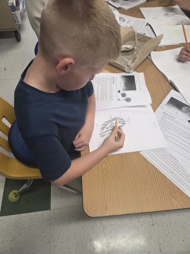 Third graders have begun learning about the importance of oysters to our community