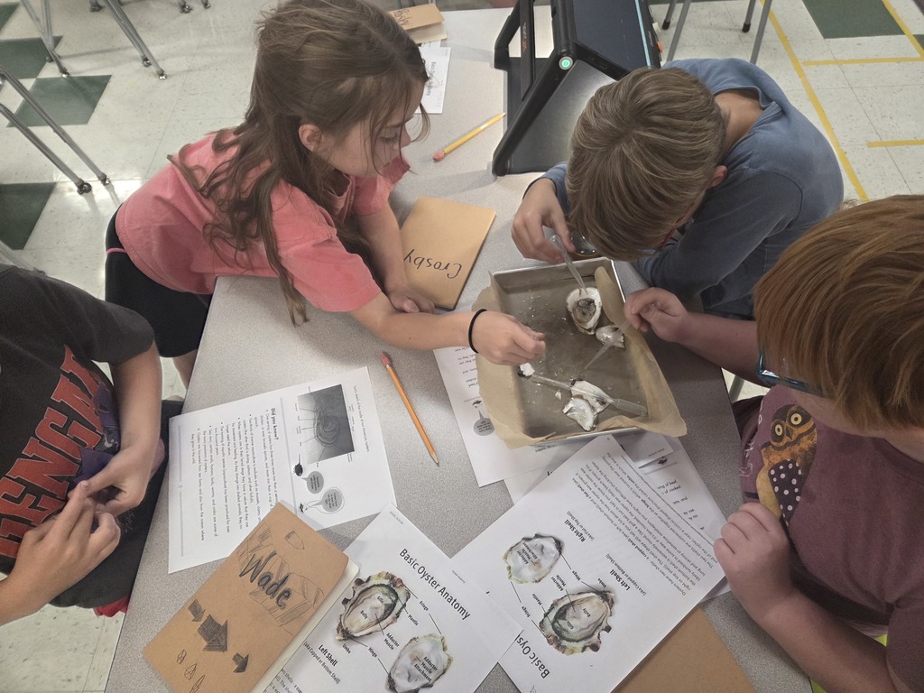 Third graders have begun learning about the importance of oysters to our community