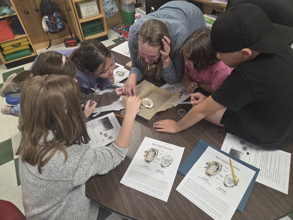 Third graders have begun learning about the importance of oysters to our community