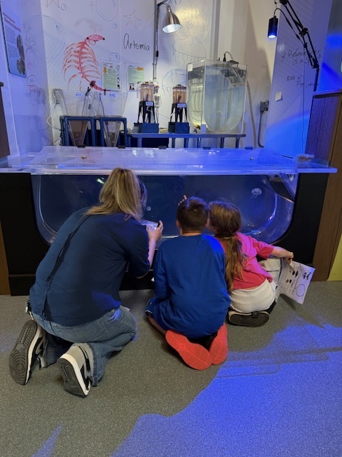 Adventures in 3rd Grade!