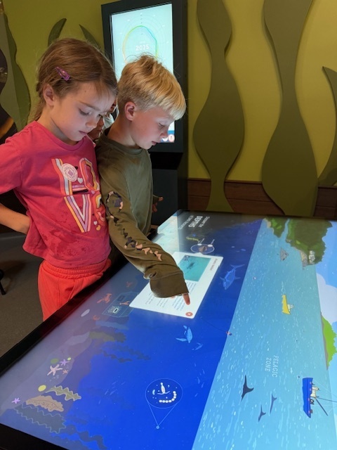 Adventures in 3rd Grade!