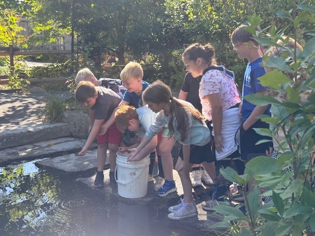 Adventures in 3rd Grade!