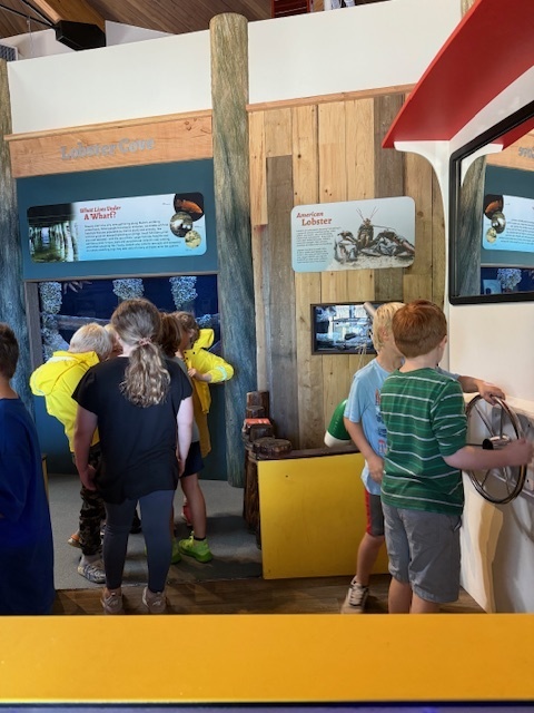 Adventures in 3rd Grade!