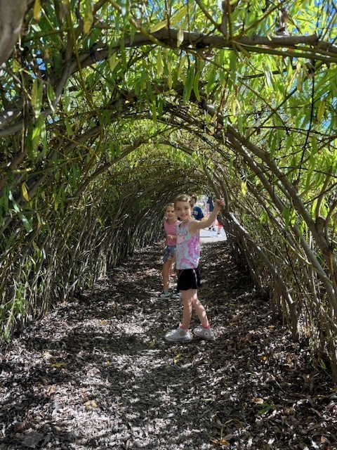 Adventures in 3rd Grade!