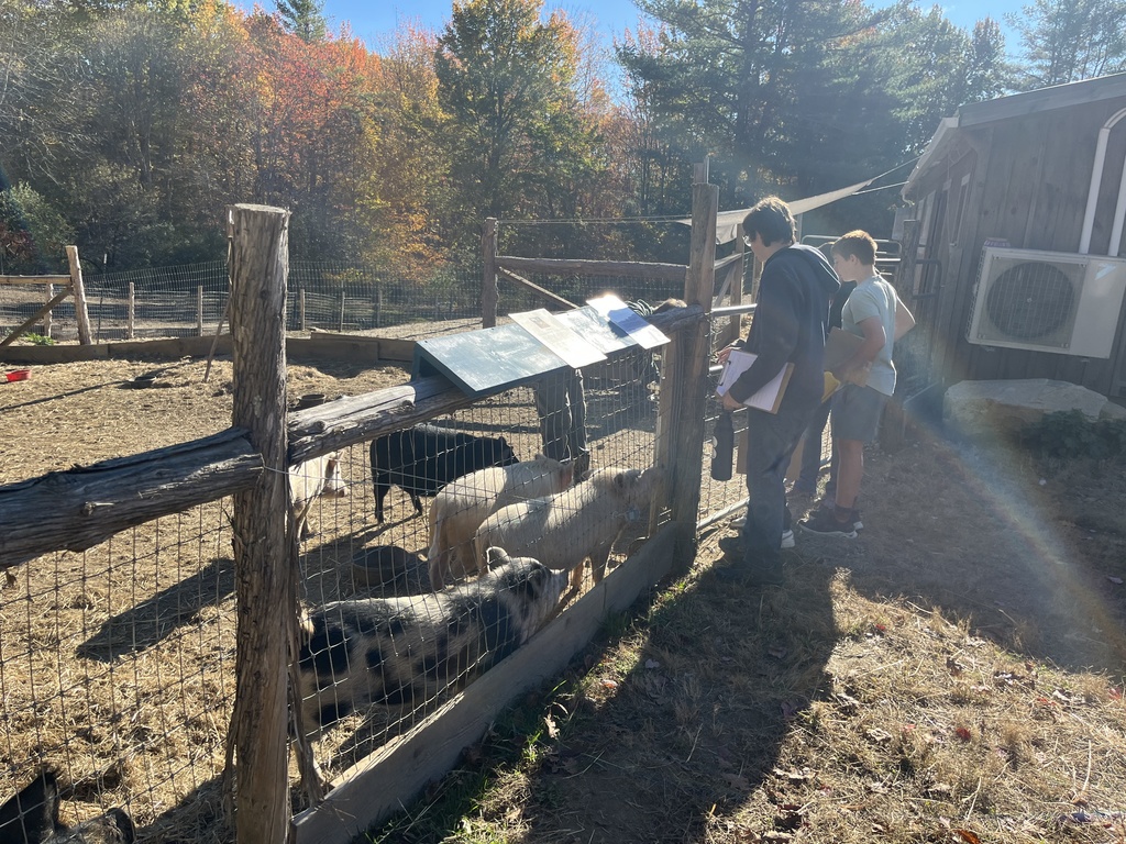 Darrowby Farm  Sanctuary 