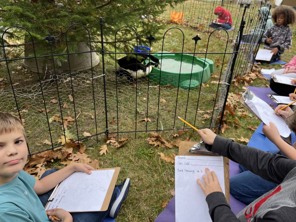 Duck stamp live draw session with GSB fifth graders!