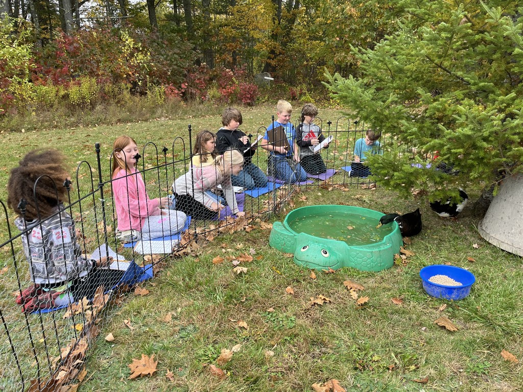 Duck stamp live draw session with GSB fifth graders!