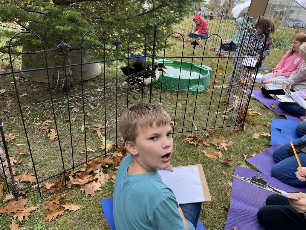 Duck stamp live draw session with GSB fifth graders!