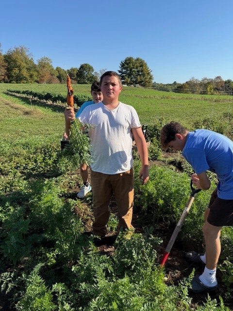 8th grade harvests carrots at Twin Villages Food Bank Farm