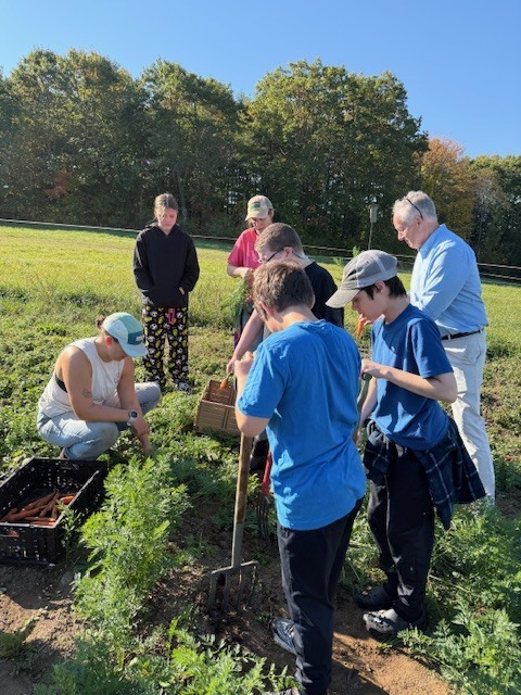 8th grade harvests carrots at Twin Villages Food Bank Farm