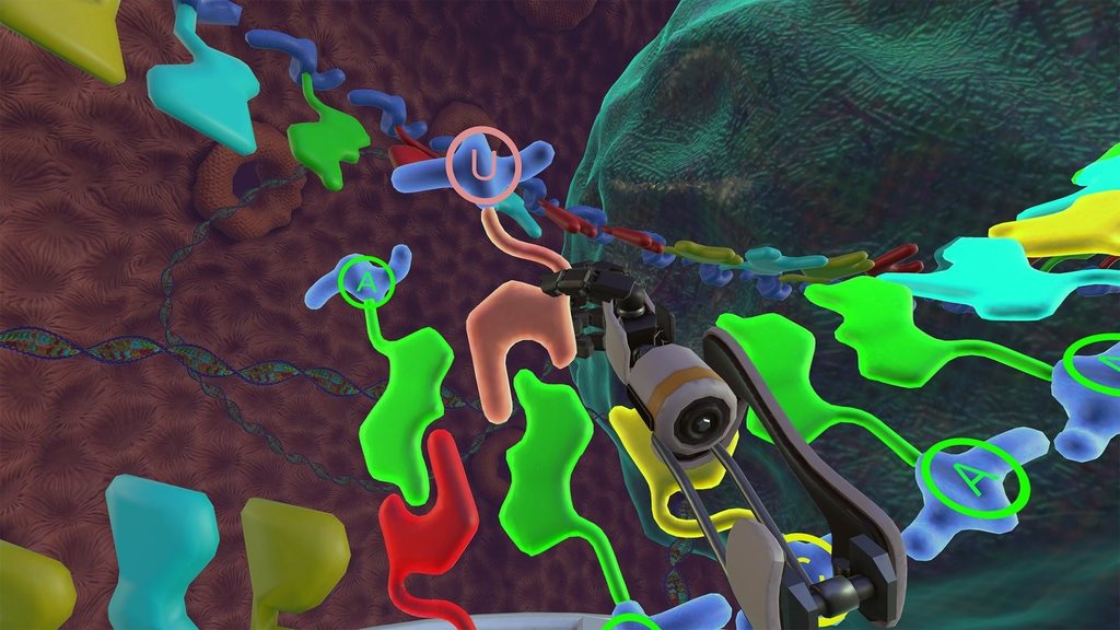 7th graders dive into a cell to interact with organelles in VR