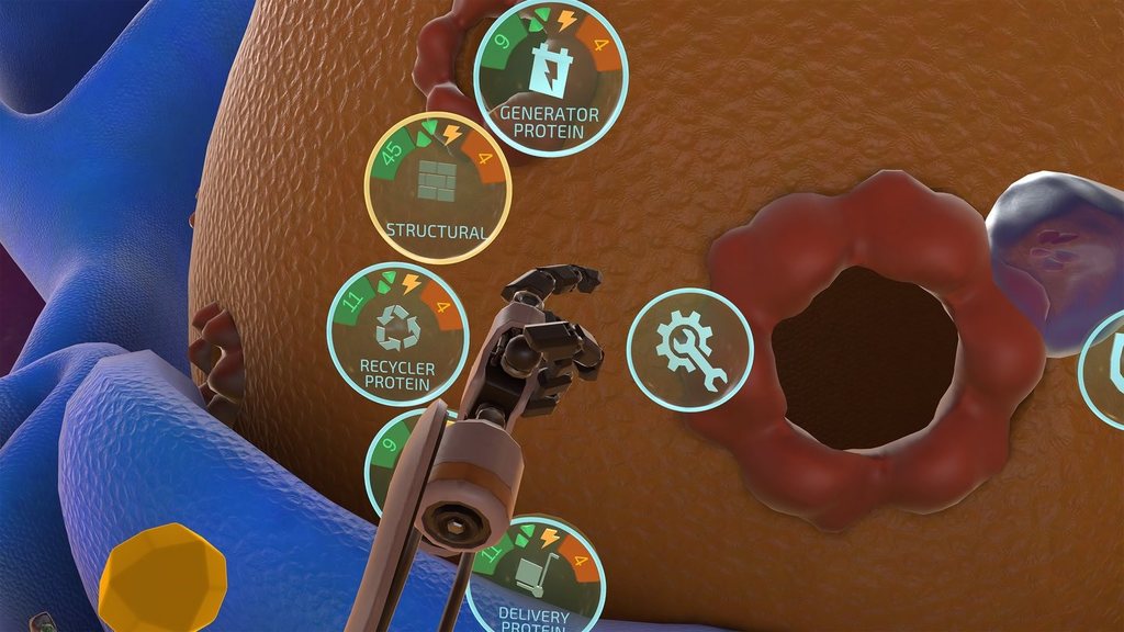 7th graders dive into a cell to interact with organelles in VR