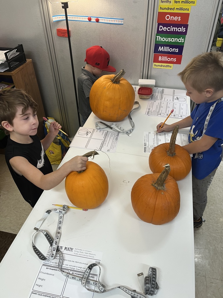 GSB Pumpkin Math!