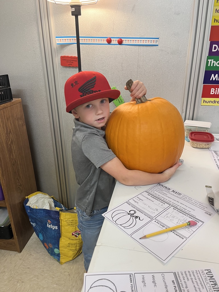 GSB Pumpkin Math!