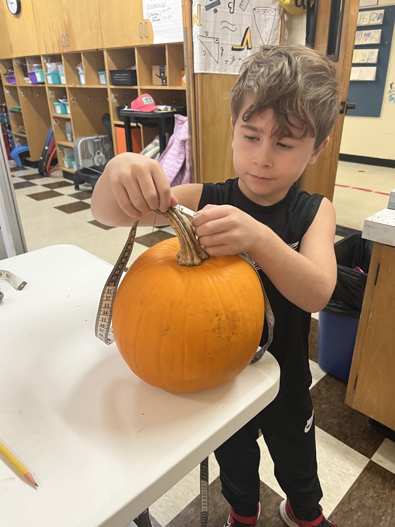 GSB Pumpkin Math!