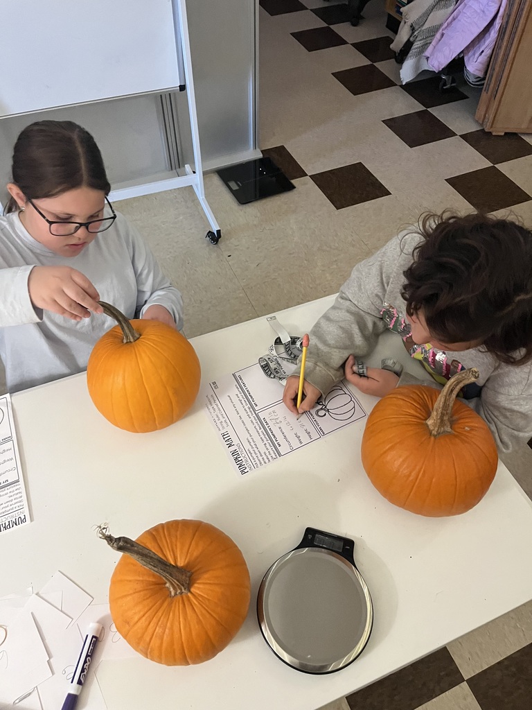 GSB Pumpkin Math!